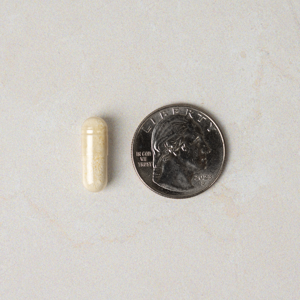 Neuralli MP + Mood Bundles